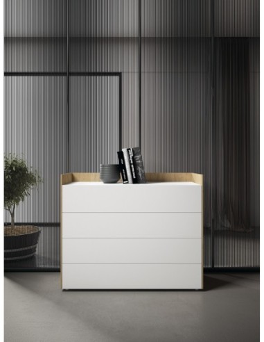 COMPOSICIÓN BOREAL 02