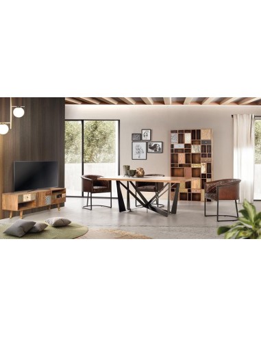 MUEBLE TV COLECCIÓN BAKÚ (50X160X40)