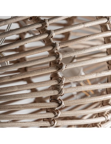 Lámpara de colgar pez