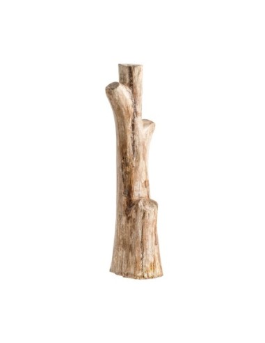 Figura tronco