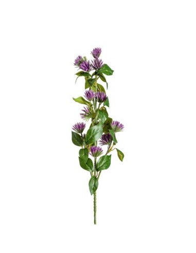 Flor
