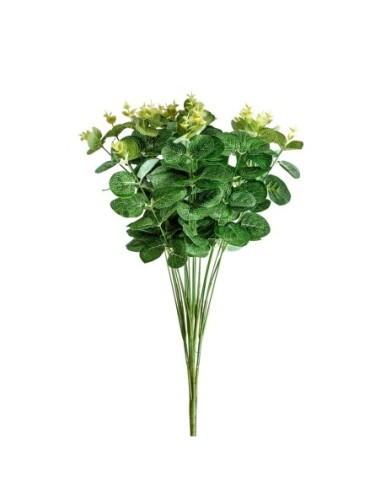 Planta