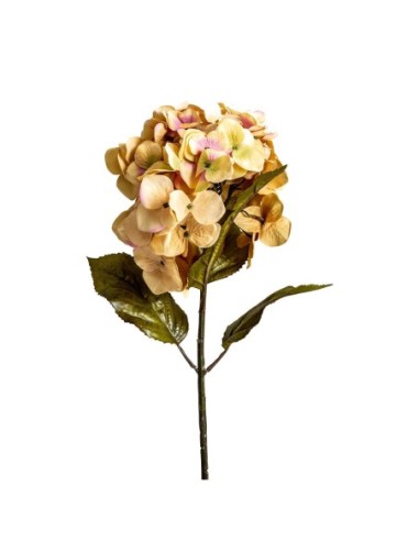 Flor hortensia