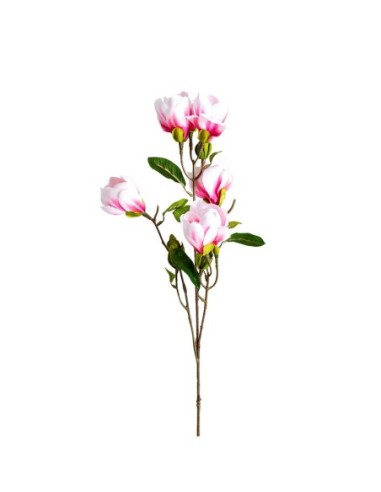 Flor magnolia