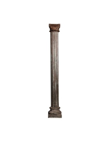Columna aceline