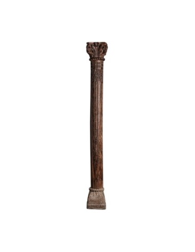 Columna daph