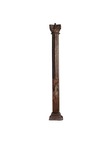 Columna danya