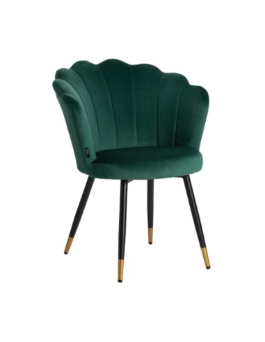 Silla lucens