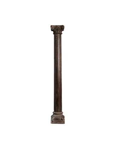 Columna oifa