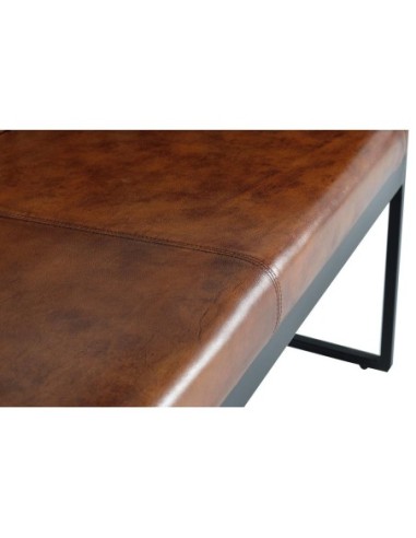 SOFÁ 2 PLAZAS GC6799 (80X115X73)