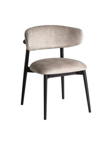 Silla zell