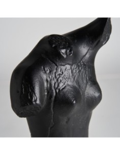 Busto messier 2