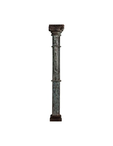 Columna becky