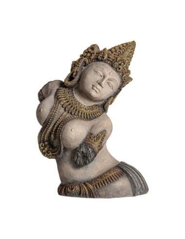 Busto balinesa