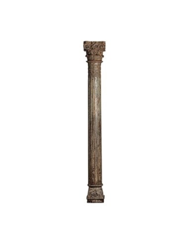 Columna haesel