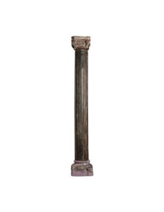 Columna cacia