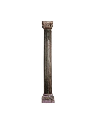 Columna cacia
