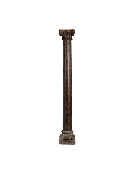 Columna oifa