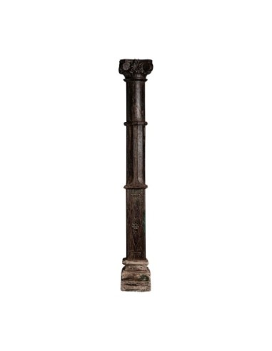 Columna olinda