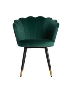 Silla lucens 2