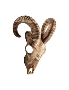 Busto goat 2