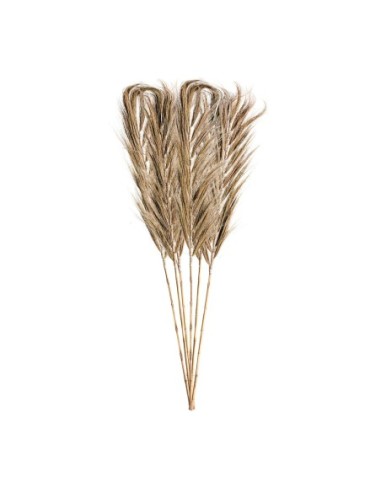 Rama decorativa j/6