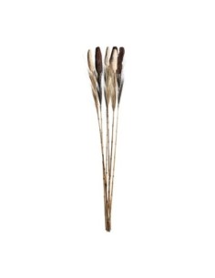 Rama decorativa j/6