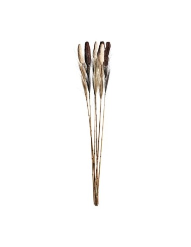 Rama decorativa j/6