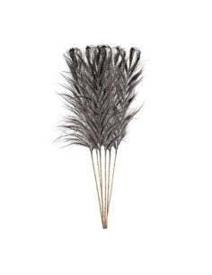 Rama decorativa j/6