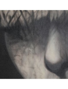 Lienzo geos 2