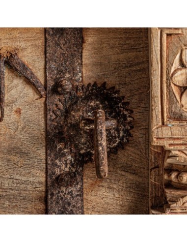 Mueble t.v. surt phalodi