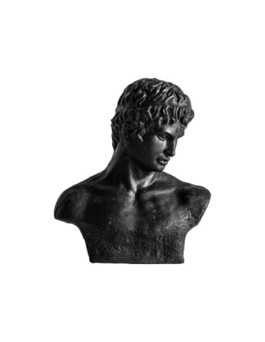 Busto helios