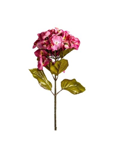 Flor hortensia