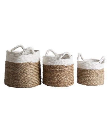Cesto j/3 kaole