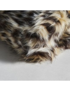 Manta tigre 2