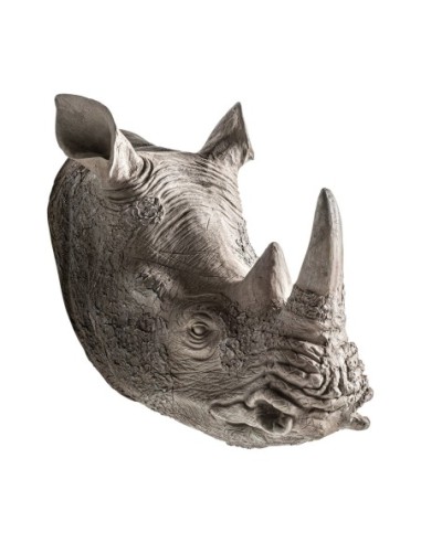 Busto rinoceronte
