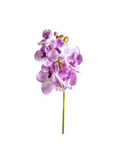 Flor