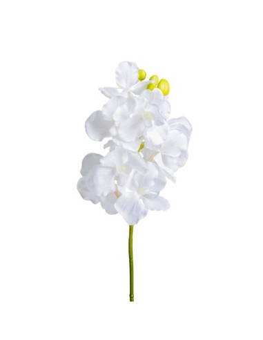 Flor azahar