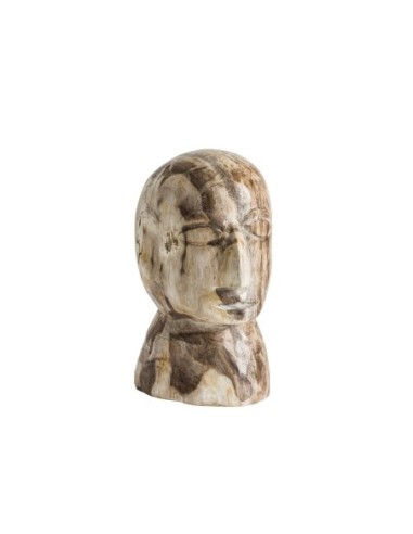 Busto surt
