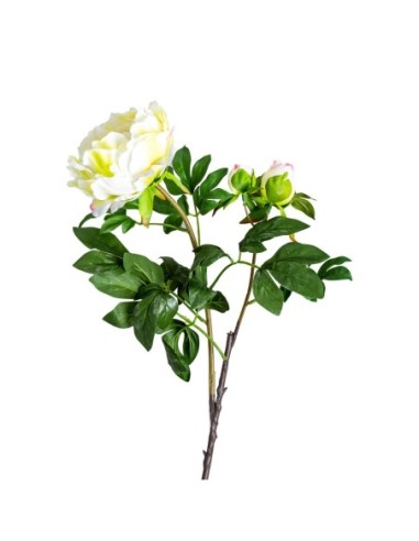 Flor