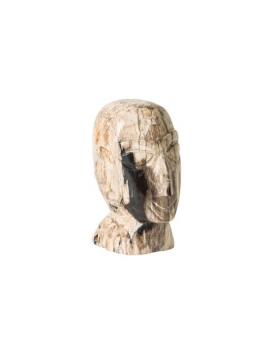 Busto surt