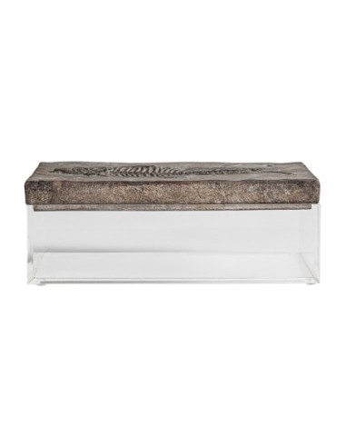 Caja
