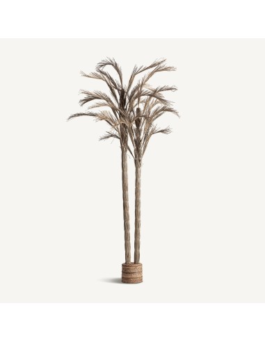 Planta Areca Boho en Fibra Natural Tonos Neutros – Vical Home