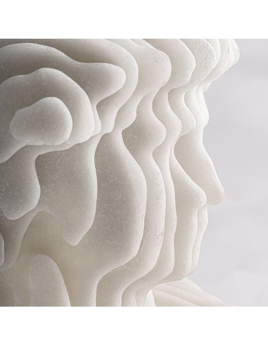Busto Decorativo en Resina Blanca – Vical Home...