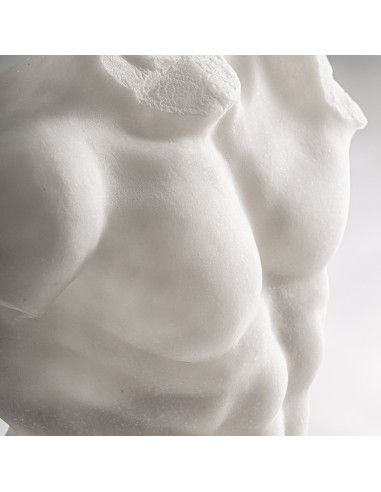 Busto Decorativo en Resina Negra – Vical Home...