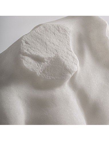 Busto Decorativo en Resina Negra – Vical Home...