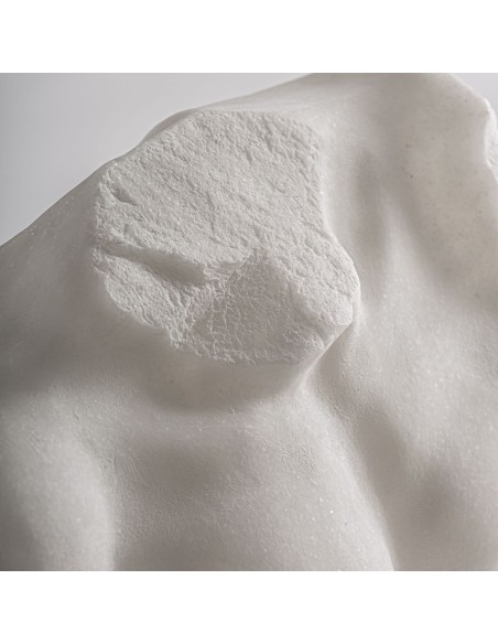 Busto Decorativo en Resina Negra – Vical Home Diseño Moderno y Elegante