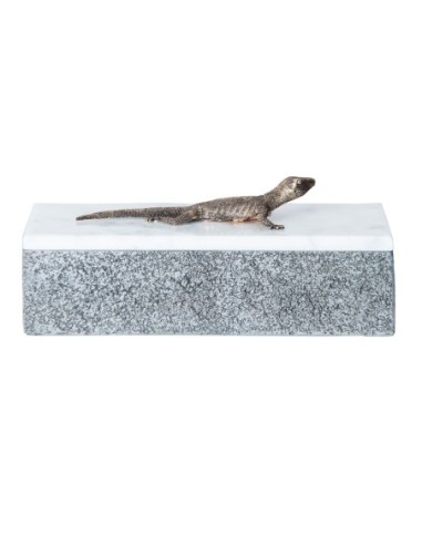 Caja lagarto