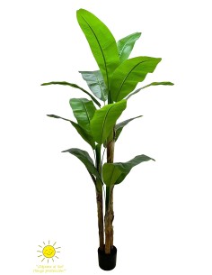 ÁRBOL PLATANERO EXTERIOR 200CM