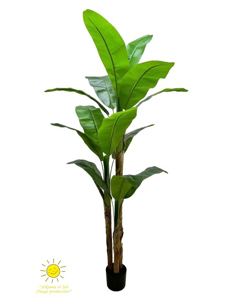 ÁRBOL PLATANERO EXTERIOR 200CM